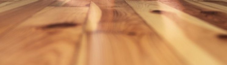 holzSpezi Böden csm_2022-GI-1432024349_Parkett_Fussbodenheizung_barfuss_Holzboden_b415119c31.jpg